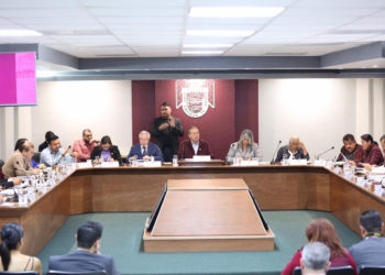 Cabildo autoriza prórroga de contratos a concesionarias de arrastre y almacenamiento de vehículos