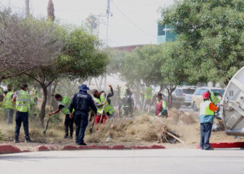 Retira Ayuntamiento 48.5 toneladas de basura en sección Costa Hermosa de Playas de Tijuana