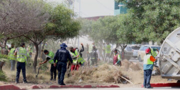 Retira Ayuntamiento 48.5 toneladas de basura en sección Costa Hermosa de Playas de Tijuana