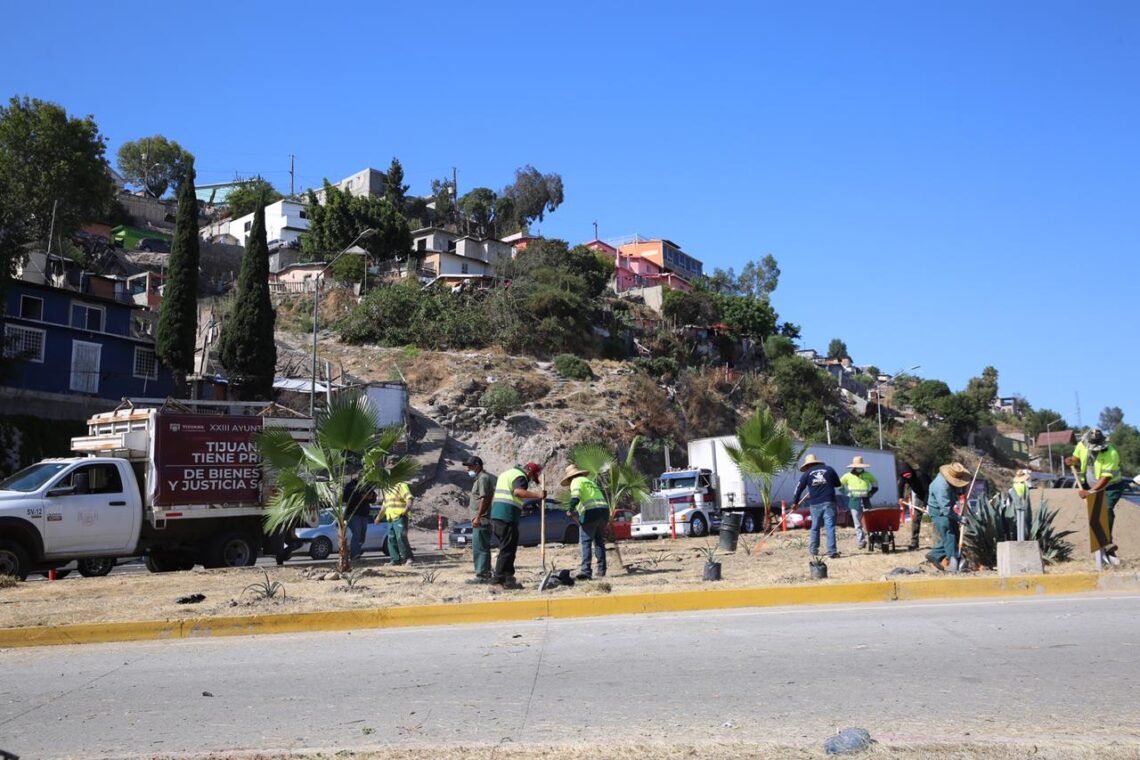 Retiran más de 250 toneladas de basura con las jornadas de limpieza ´Sábado Verde´