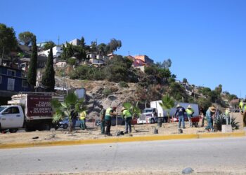 Retiran más de 250 toneladas de basura con las jornadas de limpieza ´Sábado Verde´