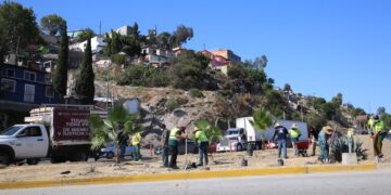 Retiran más de 250 toneladas de basura con las jornadas de limpieza ´Sábado Verde´