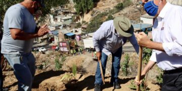 Levantan 38 toneladas de basura en colonia Buena Vista