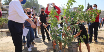 Habilitarán parque lineal en El Pípila