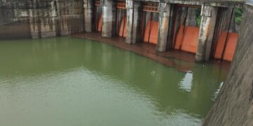 Cumplen CILA y Conagua al Tratado de Aguas de 1944 con información técnica y científica