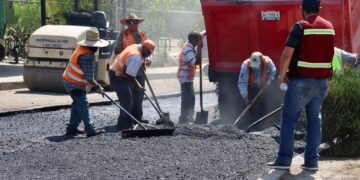 Bachean 6 mil 500 metros cuadrados en colonia El Laurel