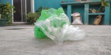 Municipio aplicará multas de hasta 26 mil pesos por uso de bolsas de plástico a partir de marzo de 2021