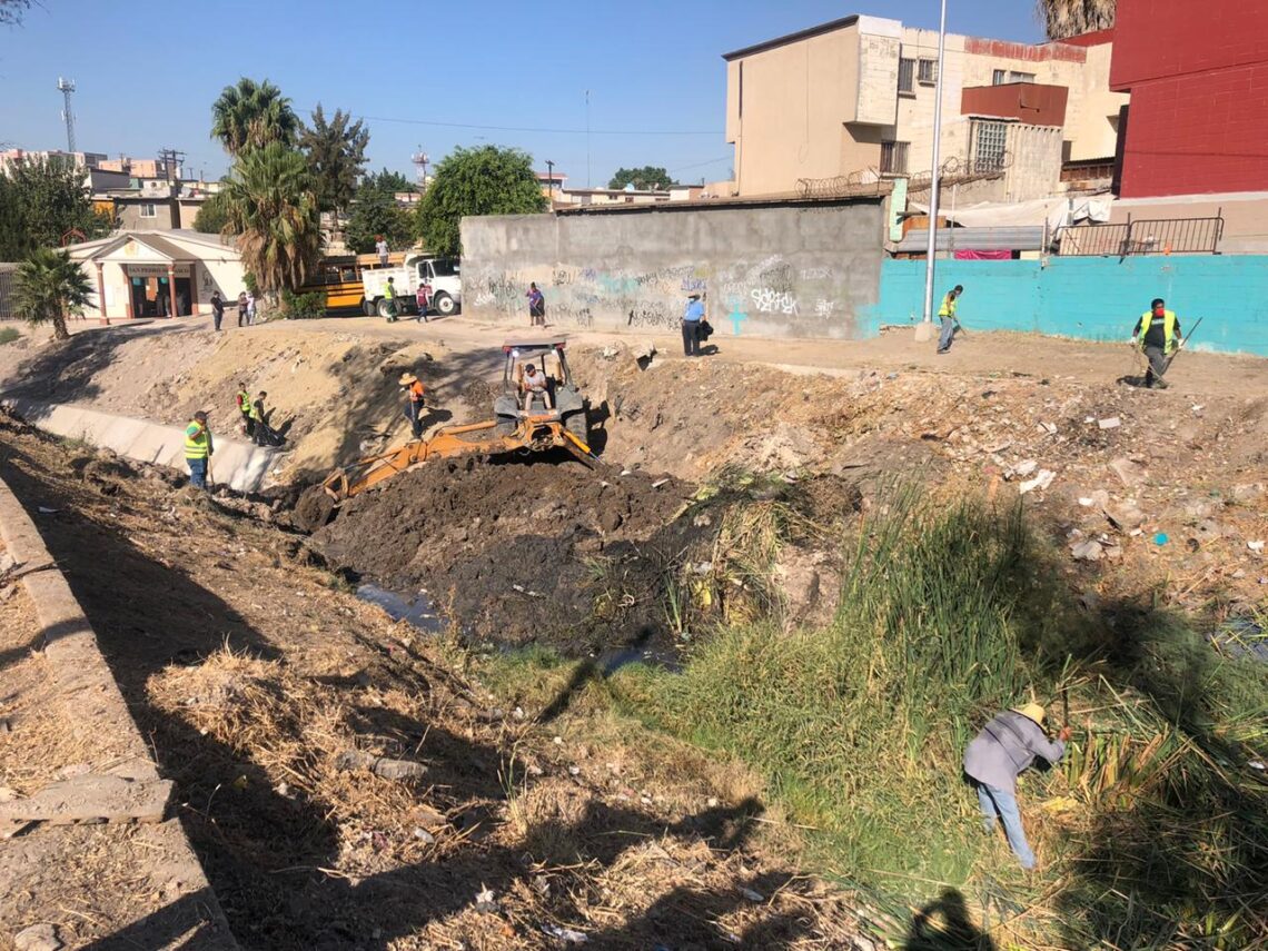 Realizan jornada Sábado Verde en Infonavit Presidentes