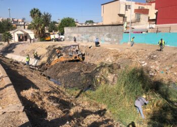 Realizan jornada Sábado Verde en Infonavit Presidentes