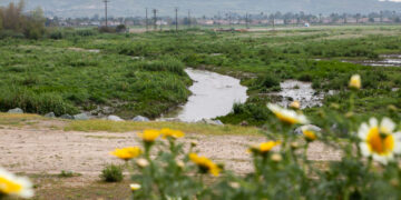 Dos empresas ven oportunidad de oro en las aguas contaminadas del Río Tijuana