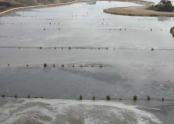 Rehabilitación de planta de Punta Bandera es apoyada por la federación: Seproa