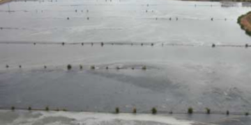 Rehabilitación de planta de Punta Bandera es apoyada por la federación: Seproa