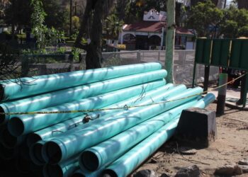 Inician limpieza y desazolve en lago de Parque Morelos