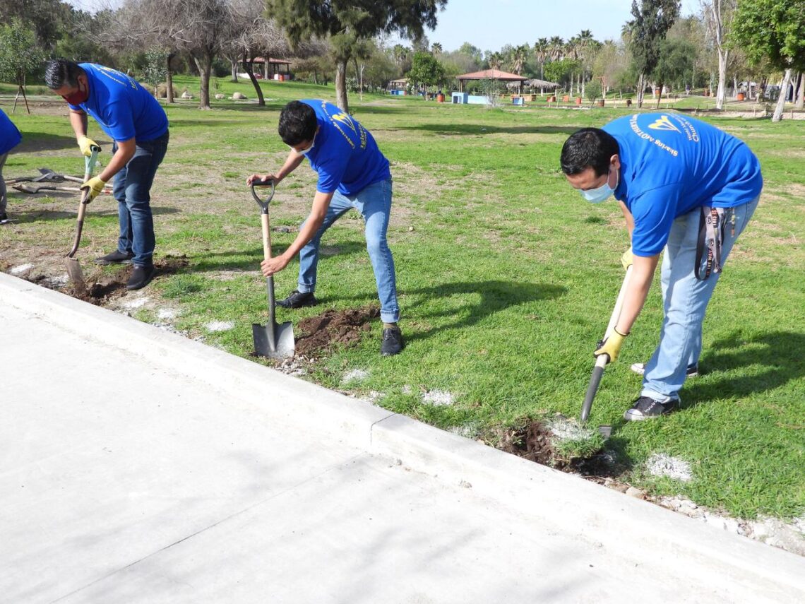 Realizan reforestación en Parque Morelos