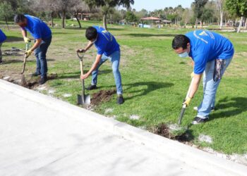 Realizan reforestación en Parque Morelos