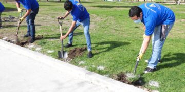 Realizan reforestación en Parque Morelos