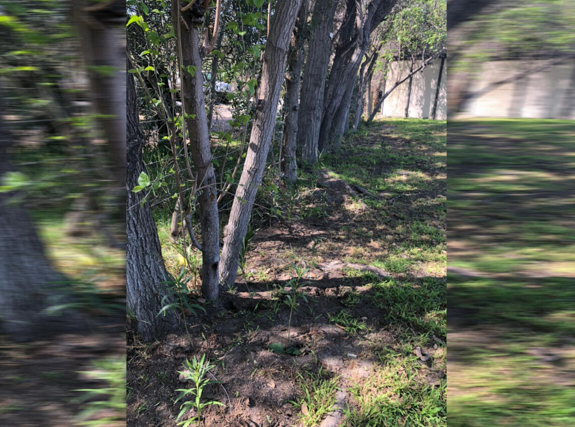 Ofrece Simpatt seguridad a visitantes de parques