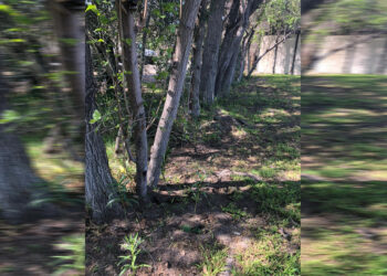 Ofrece Simpatt seguridad a visitantes de parques