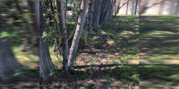 Ofrece Simpatt seguridad a visitantes de parques