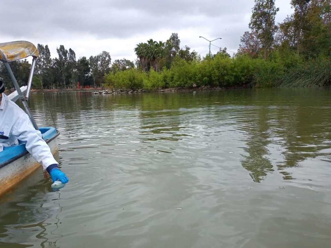 Informan resultados del agua en laguna del Parque de la Amistad