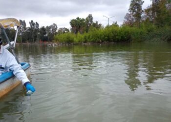 Informan resultados del agua en laguna del Parque de la Amistad