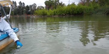 Informan resultados del agua en laguna del Parque de la Amistad