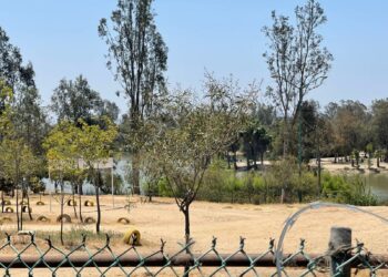 Deben autoridades implementar sistemas de prevención de catástrofes ambientales