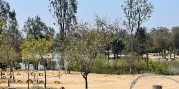 Deben autoridades implementar sistemas de prevención de catástrofes ambientales