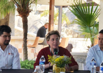 Debe iniciativa privada asumir riesgos al invertir en obra pública: Comice