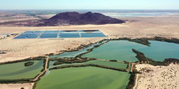 Humedal «Las Arenitas»: Hogar para especies endémicas y migratorias