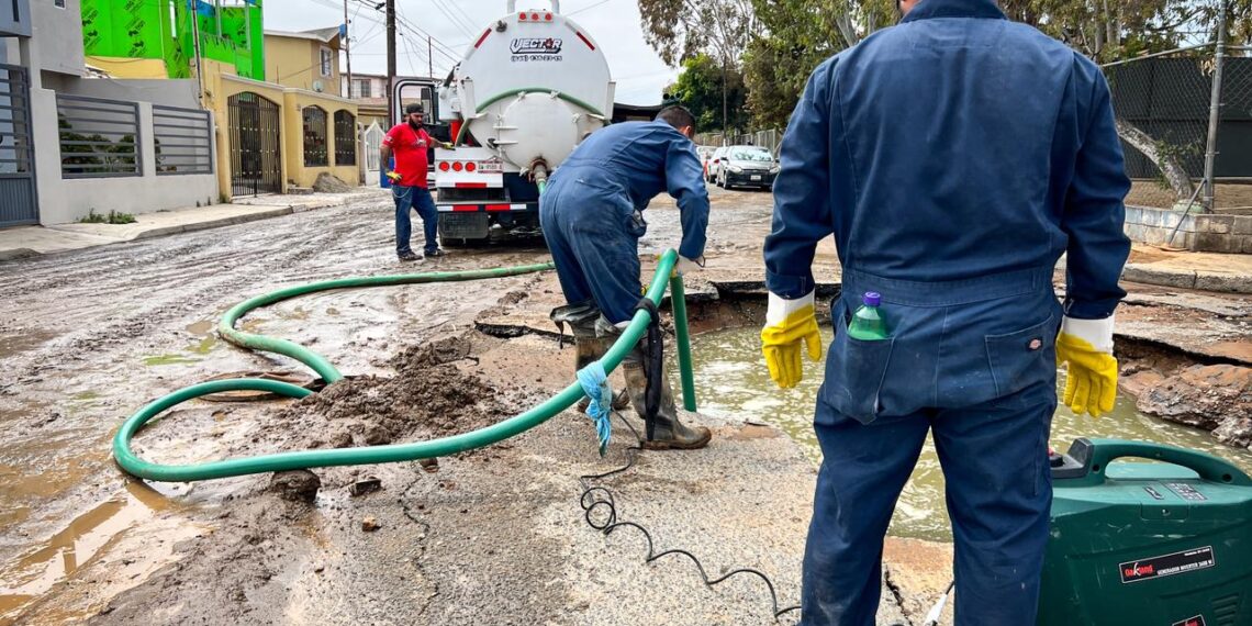Punta Banda, Ensenada