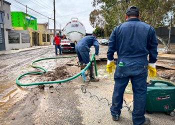 Punta Banda, Ensenada