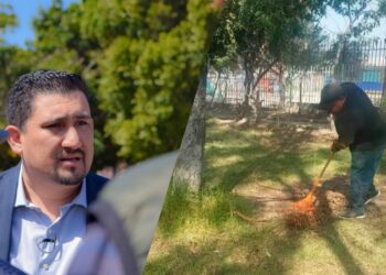 Recuperan área verde en Col. Capistrano con gestiones de Sindicatura