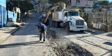 Reposición de red de alcantarillado sanitario en Col. Sánchez Taboada