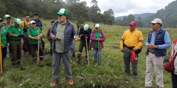 Destaca Nación Verde intención de alcalde electo de mejorar el entorno ecológico de Tijuana
