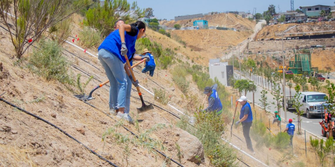 Visualizan ecologistas a Parque Esperanto como un centro de conservación de Plantas Nativas