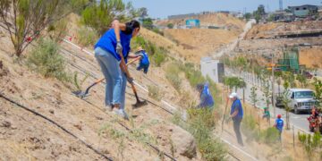 Visualizan ecologistas a Parque Esperanto como un centro de conservación de Plantas Nativas