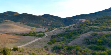 Impulsan proyecto de Bosque de la Ciudad en zona de Natura, Tijuana