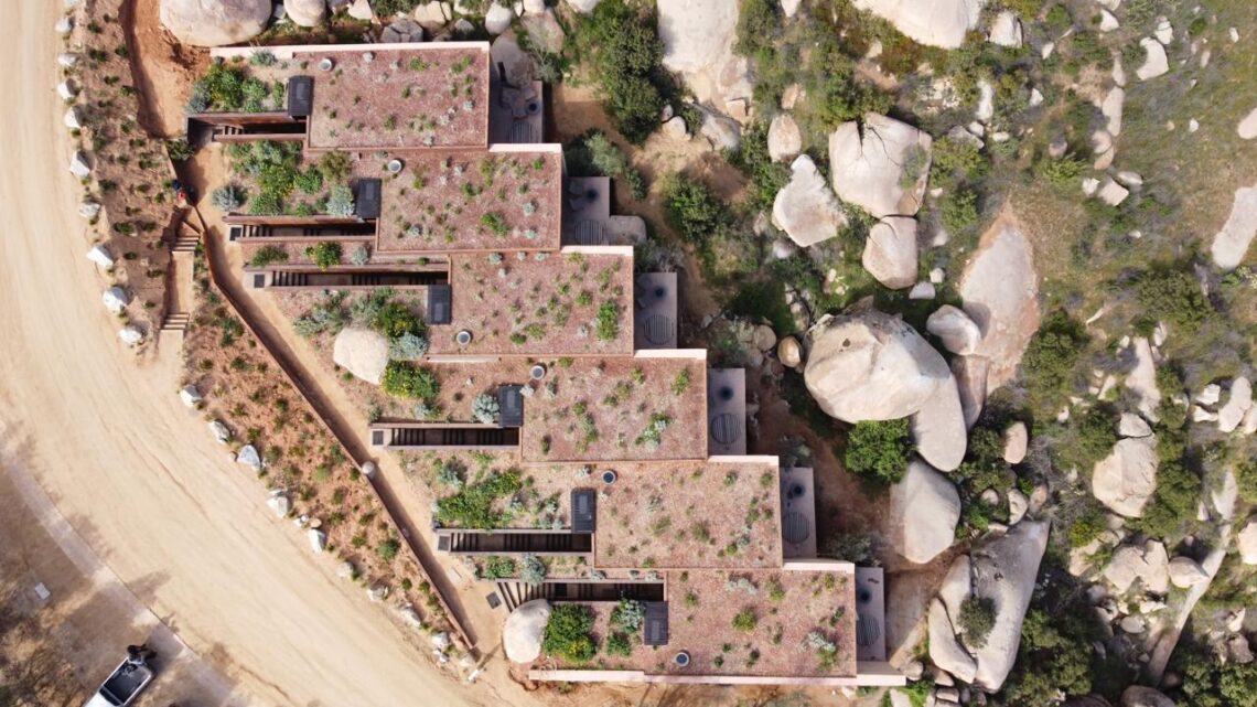 Lidera Nación Verde soluciones internacionales contra el cambio climático