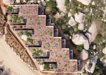 Lidera Nación Verde soluciones internacionales contra el cambio climático