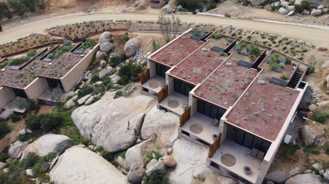 Obtiene proyecto de plantas nativas de Baja California el “Premio CEMEX 2024”