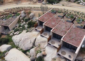 Obtiene proyecto de plantas nativas de Baja California el “Premio CEMEX 2024”