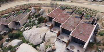 Obtiene proyecto de plantas nativas de Baja California el “Premio CEMEX 2024”