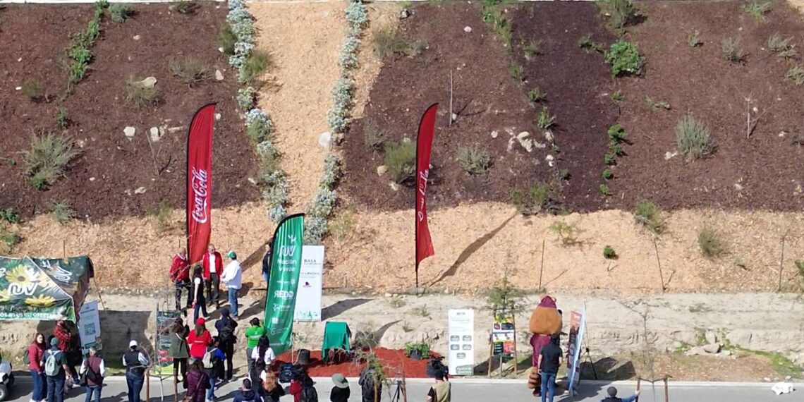 Contribuye Nación Verde a creación de Talud del Sol en Parque Esperanto