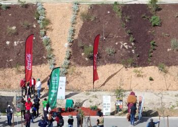 Contribuye Nación Verde a creación de Talud del Sol en Parque Esperanto