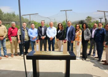 Promueven reúso de agua tratada con viñedo experimental «La Morita»