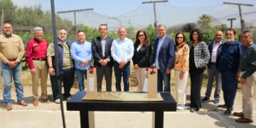 Promueven reúso de agua tratada con viñedo experimental «La Morita»