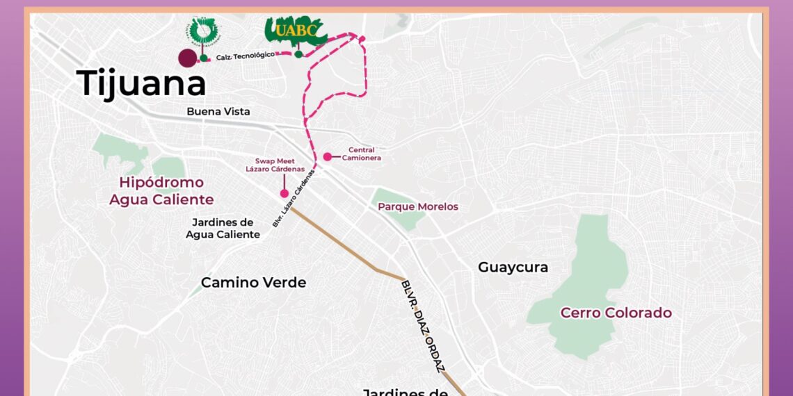Transporte Violeta llegará a Tecnológico Tomás Aquino y UABC Otay en Tijuana a partir del lunes
