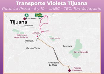 Transporte Violeta llegará a Tecnológico Tomás Aquino y UABC Otay en Tijuana a partir del lunes