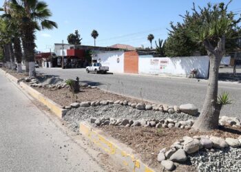 Proponen infraestructura verde en camellones para mejorar gestión del agua